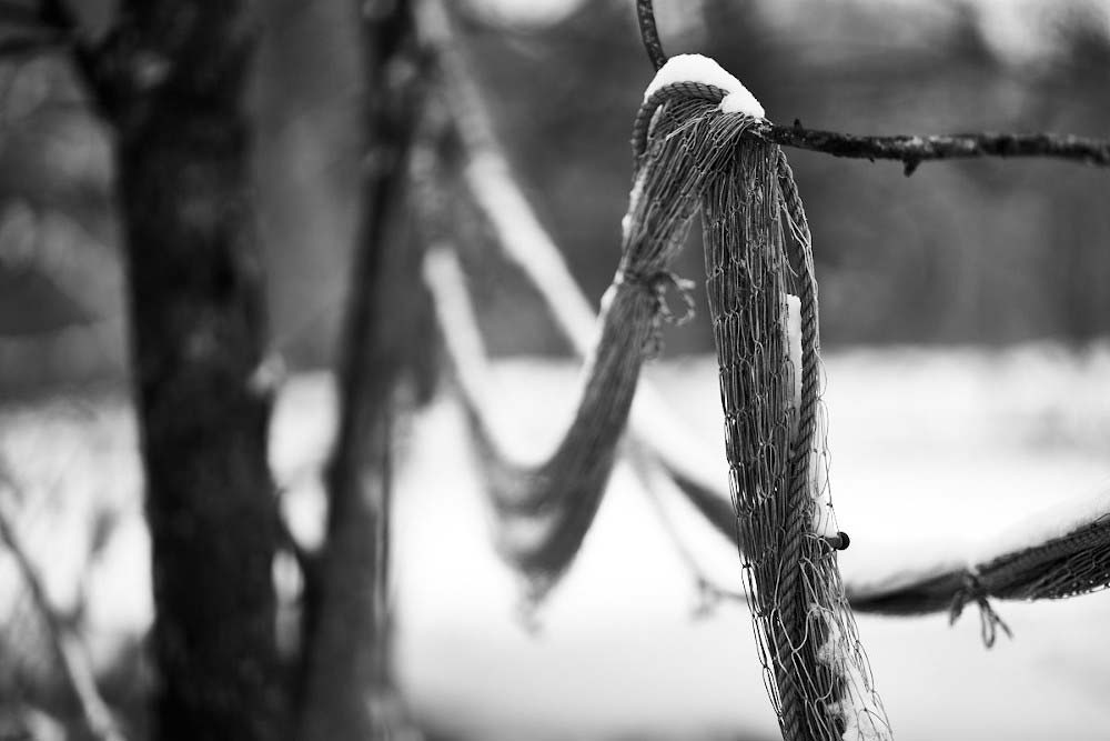 fischernetz im winter