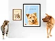 thumbnail Tierporträts an einer Wand